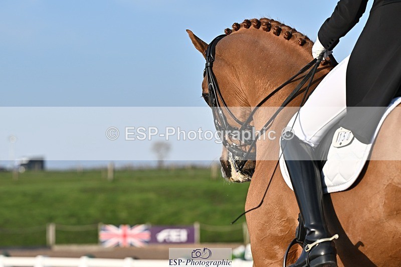 250404-183221-08697 - 150-Nathalie.Wahlund-Cerano.Gold