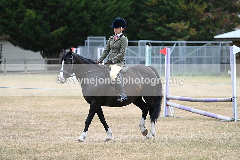 WJ7_0266 - Class 6 Ridden Mountain and Moorland