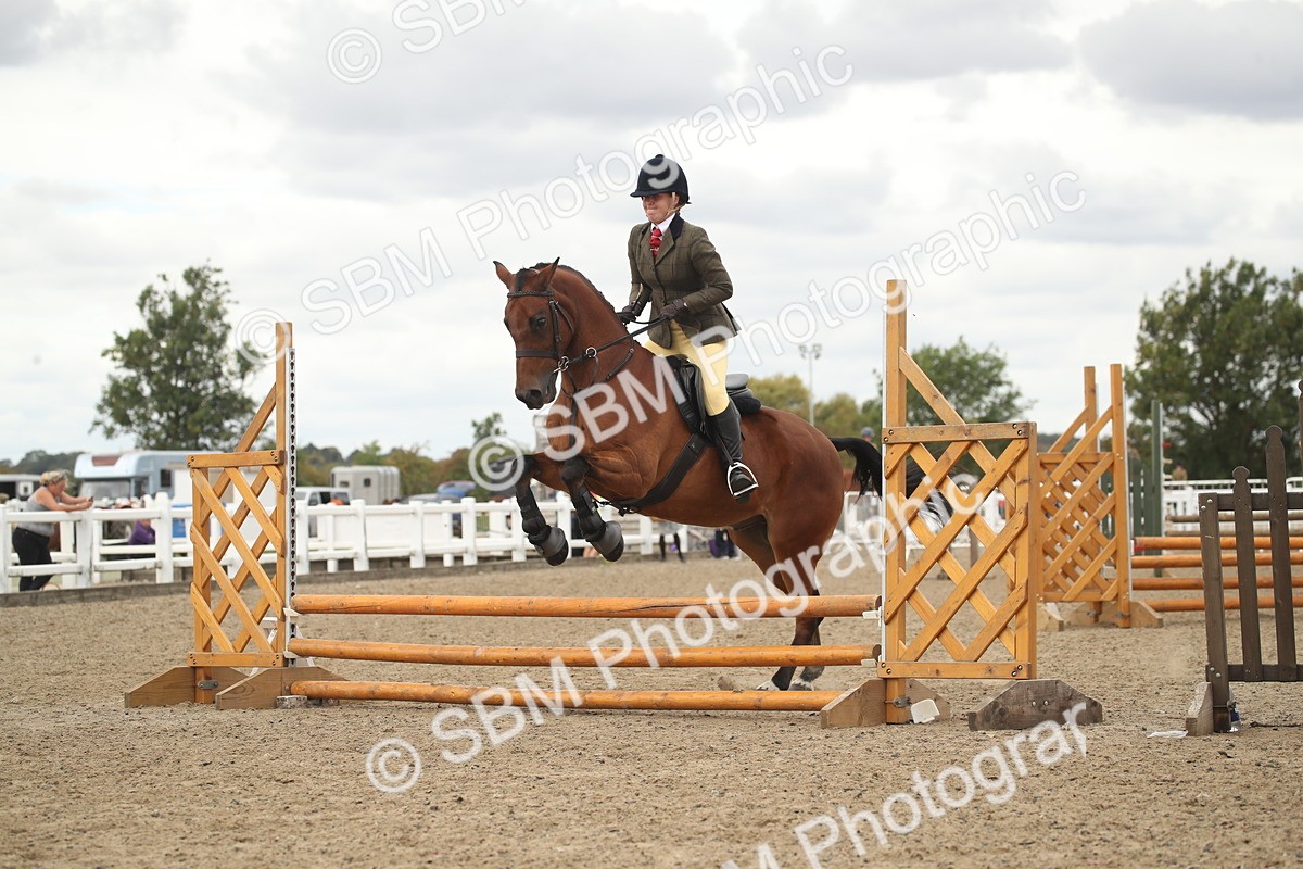 SBM_16649 - Class 507a - Working Veteran - 60cm (15-19)