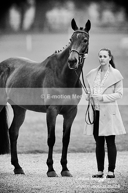 Trot Up 290516 242abw - B & W photography