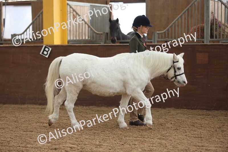 20251109-0546 - Class 21 - Mares 4 Years and over
