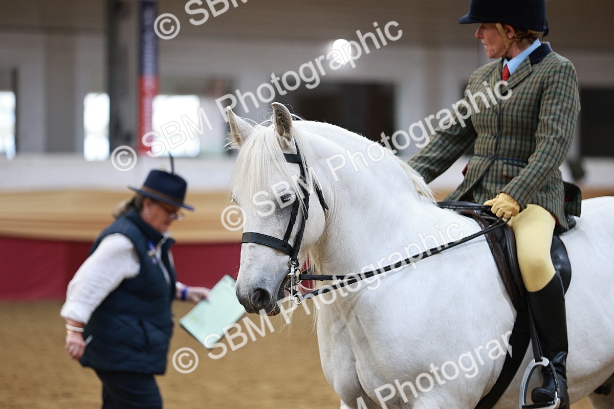 SBM_08239 - Class 11R - Regional Ridden Veteran