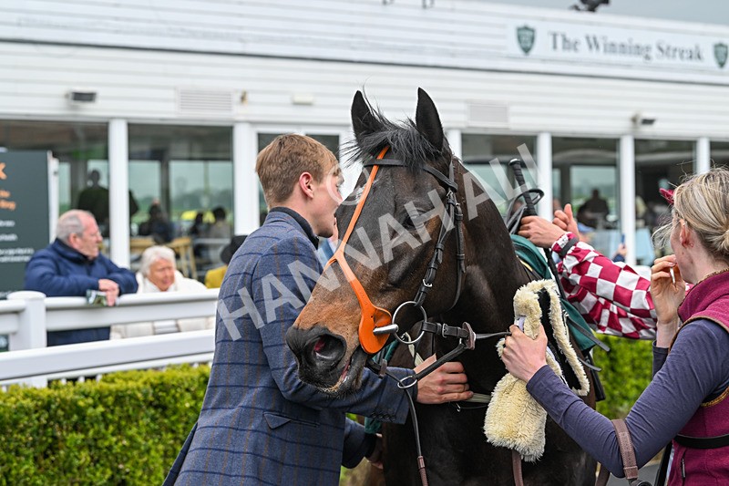 230425-Race 1-Birkenhead-9954 - Race 1