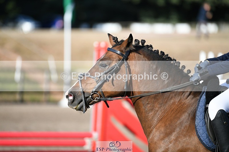 250822A-083202-18500 - NAF Round 1 Start to 9.10