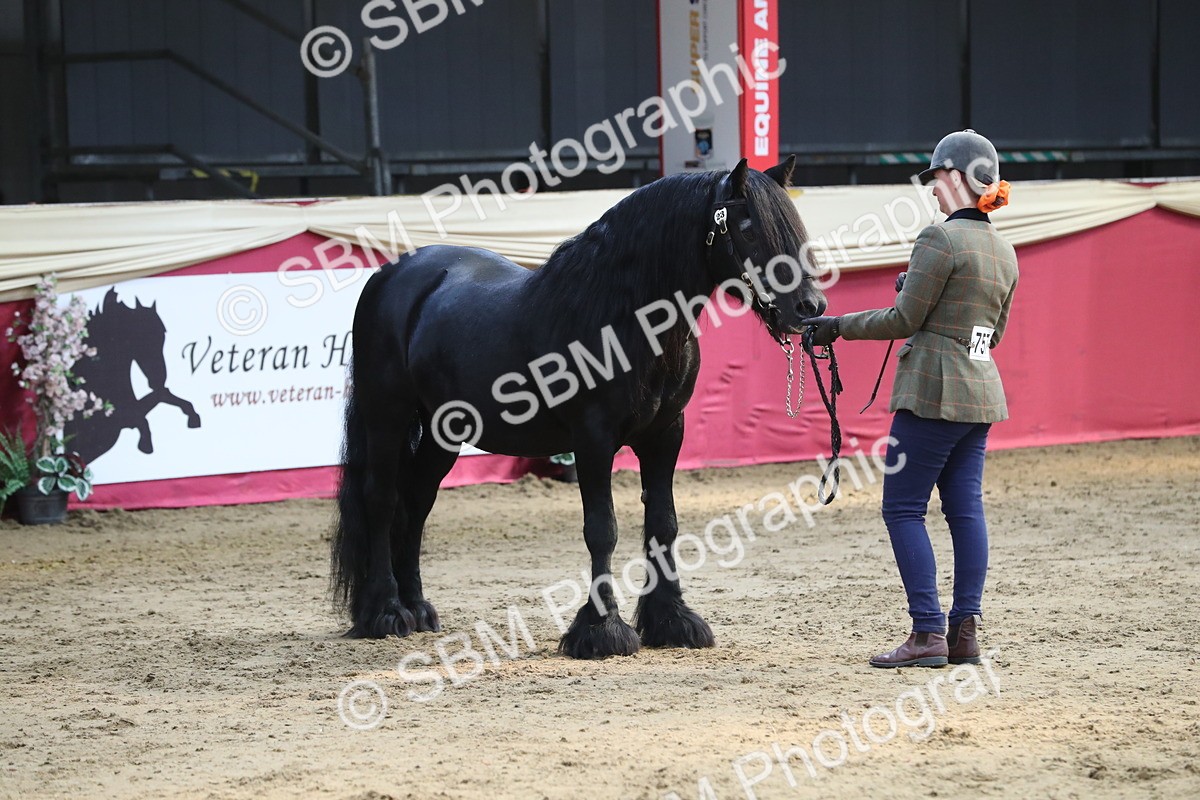 SBM_06556 - Regional IH Champ