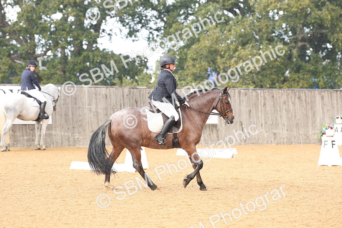 SBM_19573 - D10 - Small Tour Championship Prelim 2