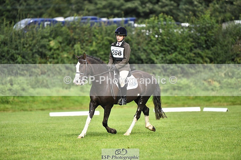 230826-100325-15342 - Sections C & D 9 to 10am