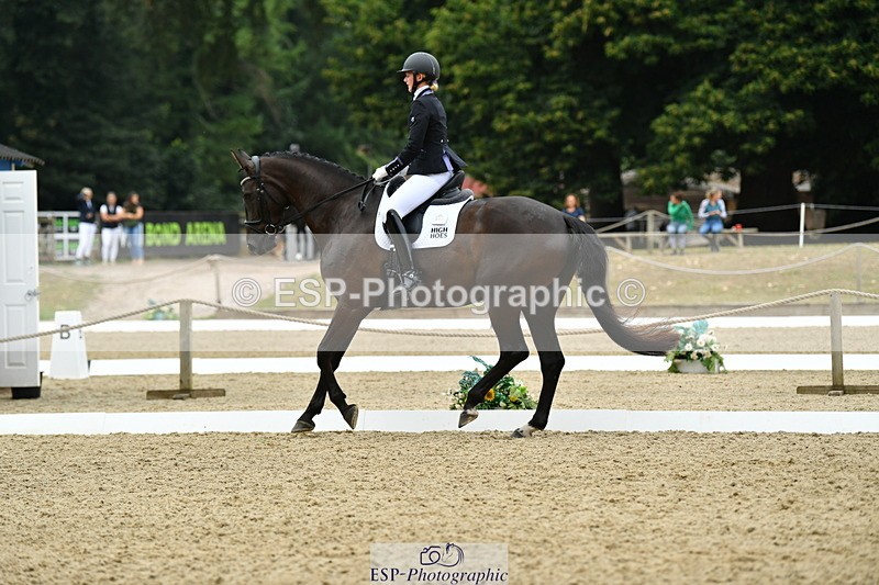 250718A-103816-00216 - 061-Louise.Christie-High.Hoes.Dandelion