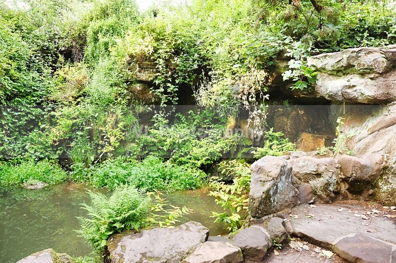 Fairy Glen - Liverpool
