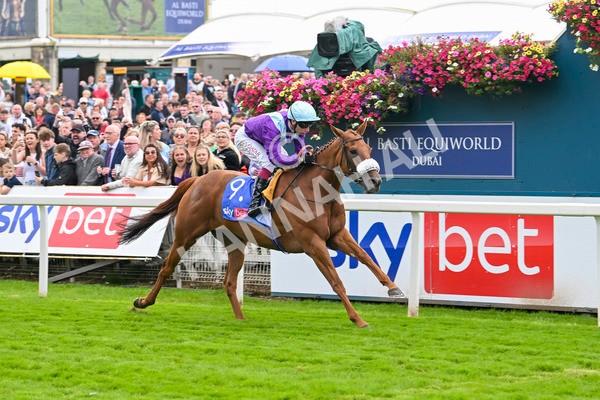 240824-Race 1-See The Fire-0999 - Race 1 1.50pm Sky Bet Strensall Stakes