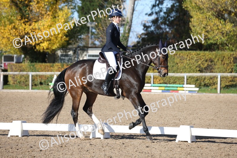 20251102-0748 - Class 4 - Novice 6