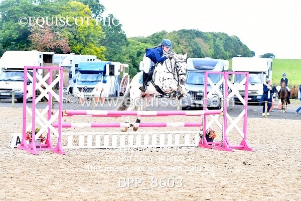 BPP_8603 - CLASS 5 Pony Discovery / 90cm Open