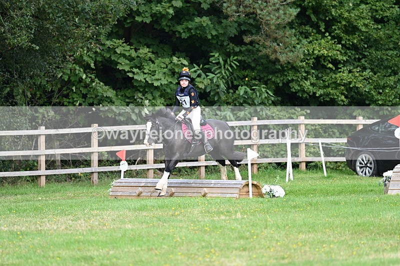 WJ7_7996 - 40cm Time 10:49 to 11:18