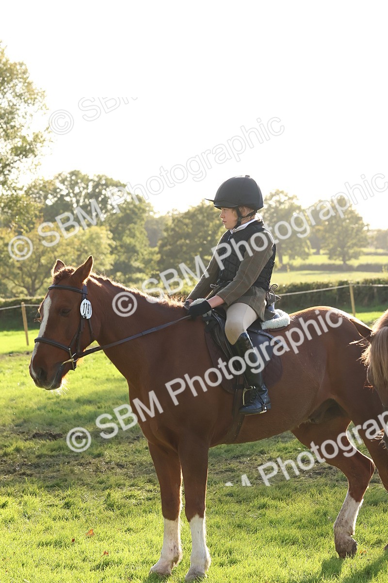 SBM_52661 - S13 - Pony Club Pony