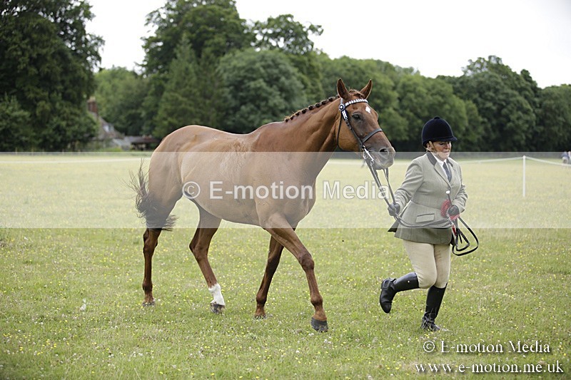 BVR160717-1096 - In Hand Championship 16/07/17