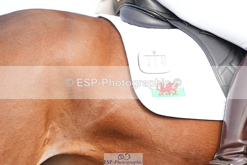 250906-100307-01220 - 024-Rebecca.KingFaside.Mark.My.Words