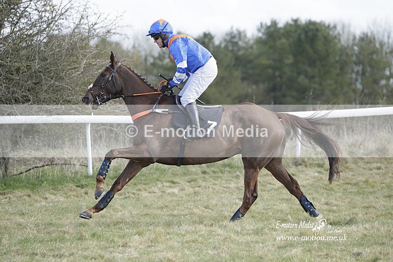 PtP 260223 559 - South & West Wilts Point-to-Point Larkhill 26/02/23