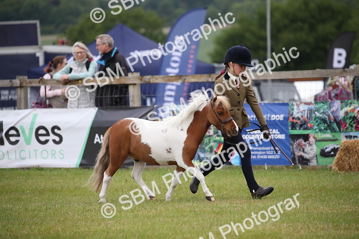 SBM_03882 - Class 23-25 - British Miniature Horse of the Year