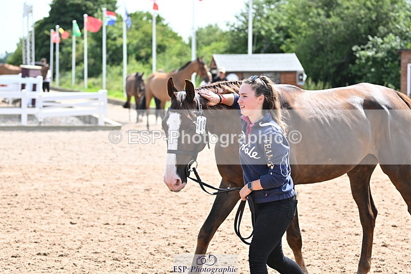 240717A-151441-02677 - Trot Up 3pm to 4pm