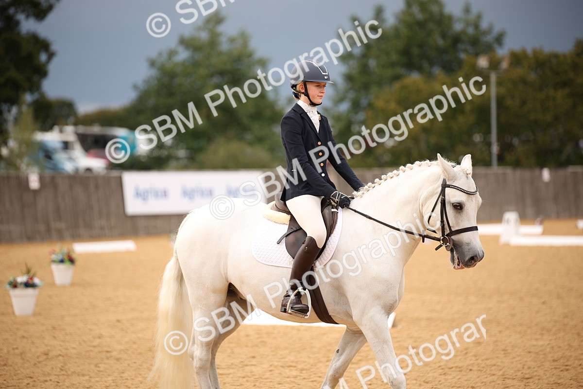 SBM_12253 - D3 Small  Tour Championship Intro A