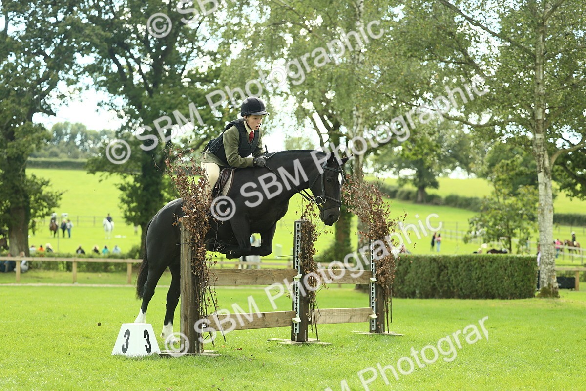 SBM_44737 - S31 - Working Hunter Pony