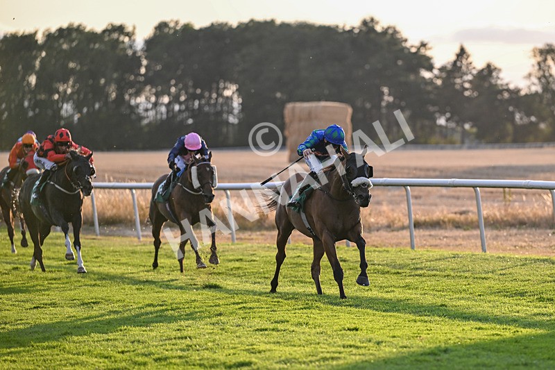 140826-Race 5-Military Leader-1483 - Race 5 19.50pm Malton Marquees Racing Through The Summer Handicap
