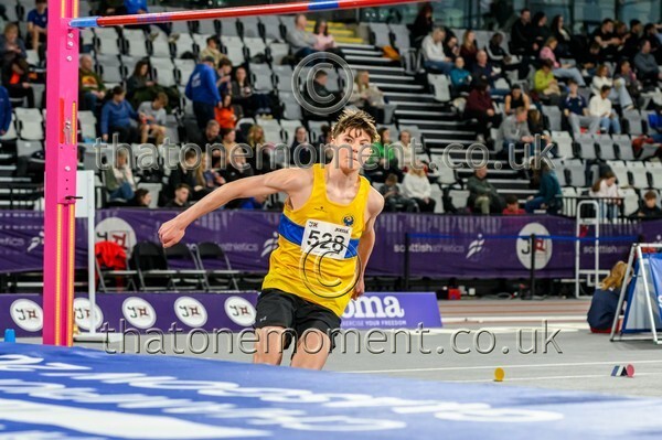 SenInd26-919248 - Field Male