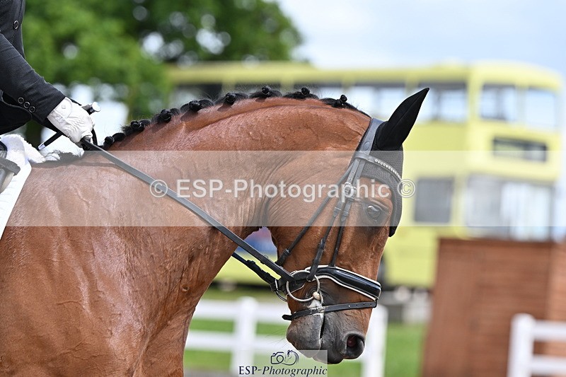 240622A-125441-10423 - Cls 29 BD Elementary 45