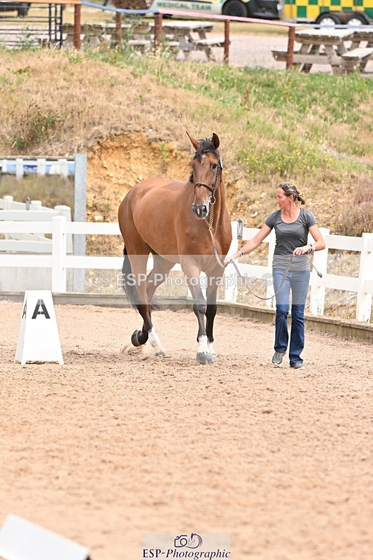 250716-144848-01425 - Trot Up 2.30 to 3.30