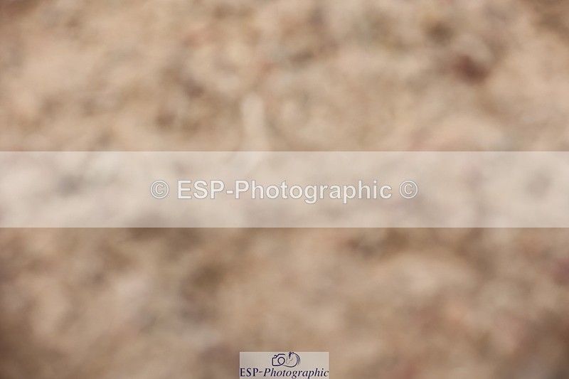 240621A-120340-00599 - Cls 12 BD Music Medium