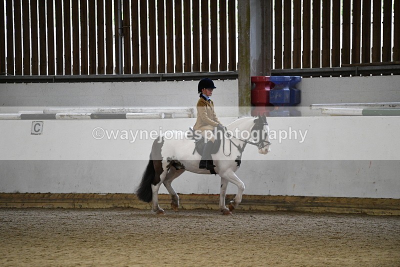 WJ5_7390 - Class 11 Ridden PC - RC Pony