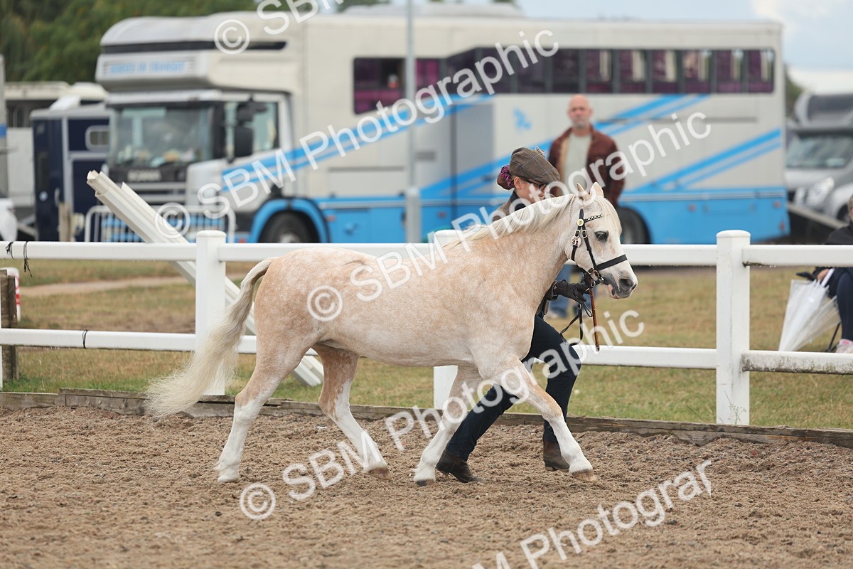 SBM_08450 - Class 29 - IH Veteran Pony