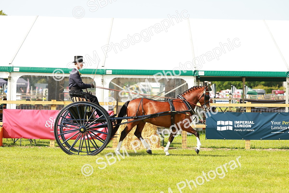 SBM_02561 - Class 2-4 - HOYS Private Driving