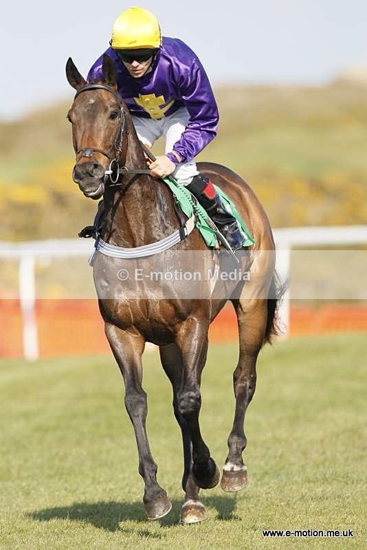  GRD 030510 200 - Guernsey Race Day 03/05/10
