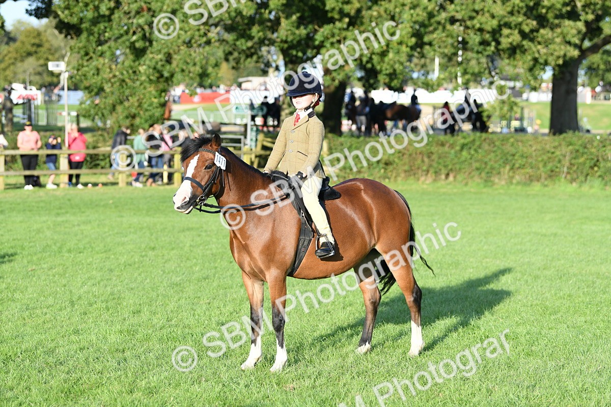 SBM_54113 - S23 - 1st Ridden Mountain & Moorland Pony