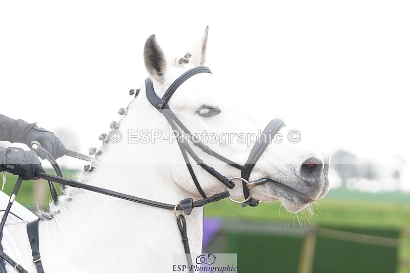 250419-120032-09554 - 422-Milly.Meza-Bradford-HAZELROCK.SYMPHONY