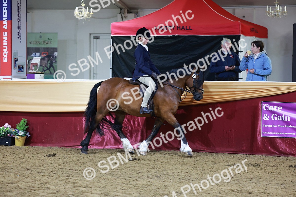 SBM_21280 - Class S - Style & Performance Champ