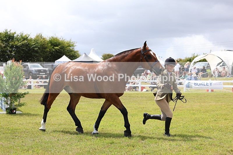 3E7A2243 - Class 10: Open Cob