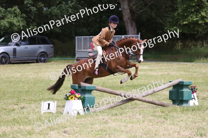 20260614-2806 - Class 22 - Open Working Hunter