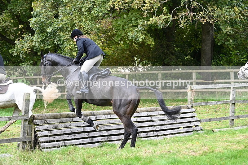 WJ7_4578 - Camera 1 Line 3