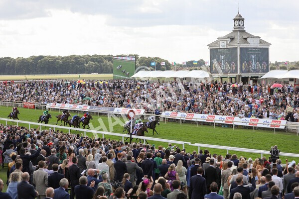 yr20082022r3-14 - Race 3 3.00pm Sky Bet City of York Stakes