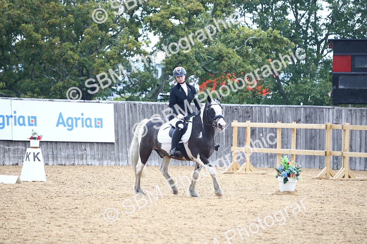 SBM_42756 - D21 - Junior Championship Intro 1