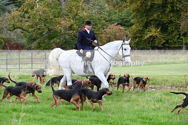 WJ6_0082 - Camera 2 Meet