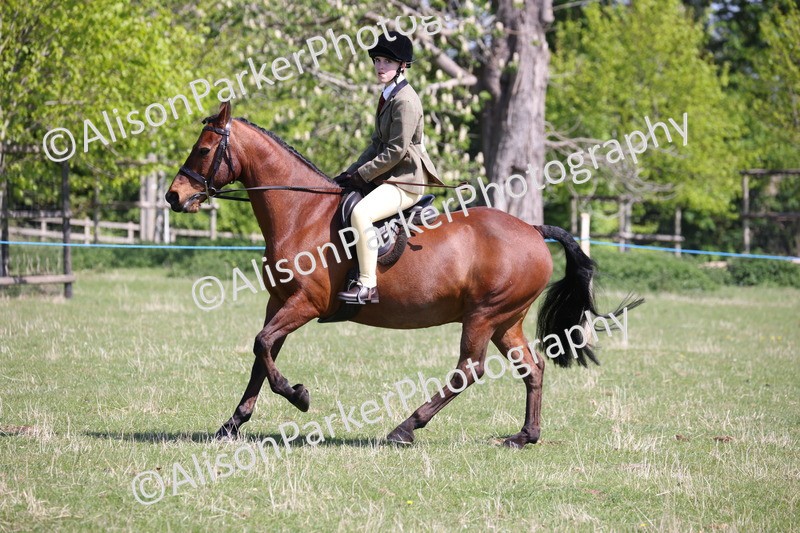 20250427-3229 - Class 33 - Best Pony 14.2hh and Under