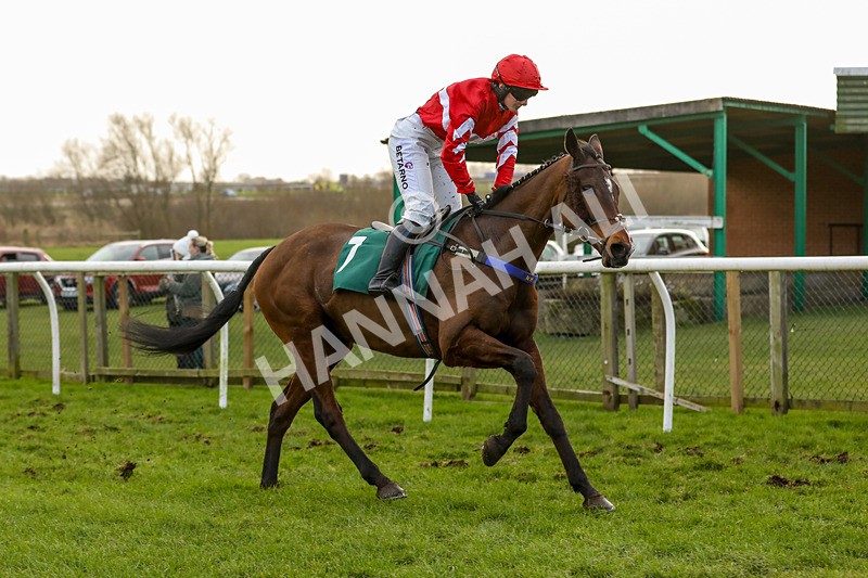 240124-Race 1-Mister Bells-5596 - Race 1