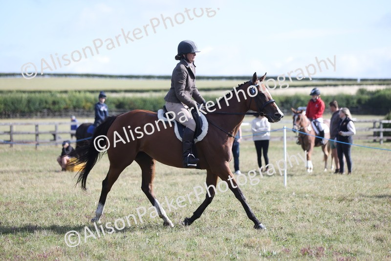 20250831-0912 - Class 14 - Ex Racehorse