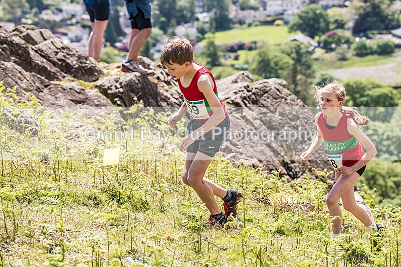Coniston Junior-100 - Coniston Gullies Junior Fell Races Sunday 24th May 2026