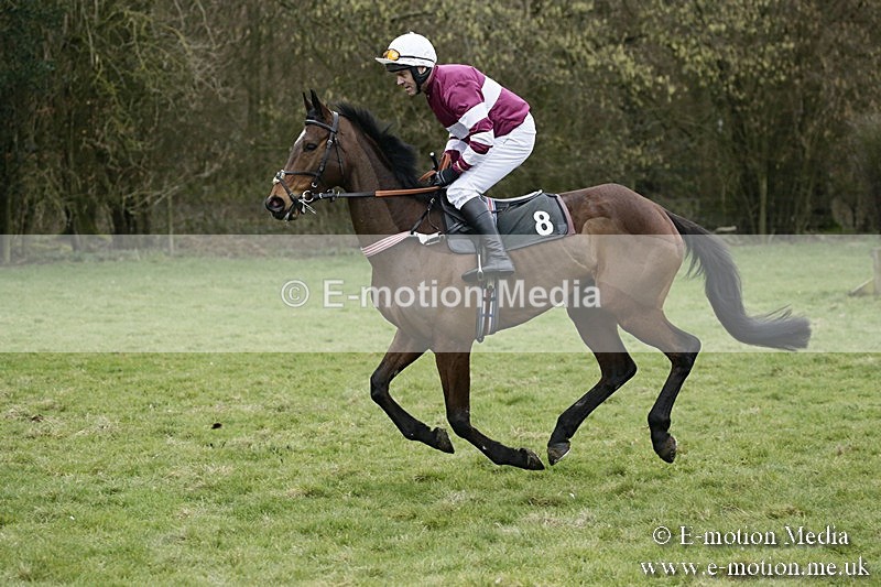 PtP 110318 44 - Hampshire Hunt Point-to-Point Hackwood Park 11/03/18