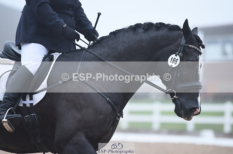 230708A-150758-03219 - Novice 24