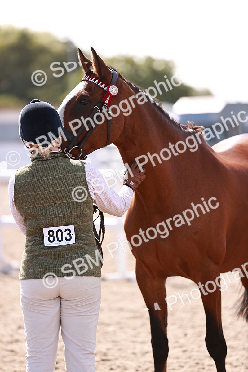 SBM_22986 - Class 707 - IH groom Helpers Class
